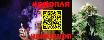 МДПВ Можга
